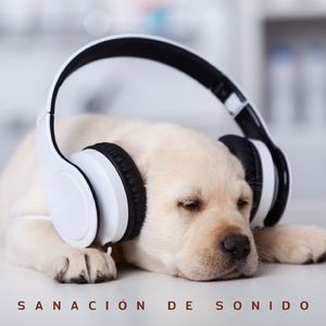 Escuchar