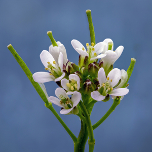 어제보다 좋은기분