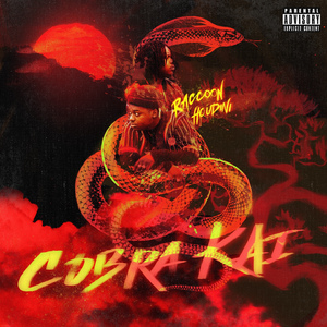 Cobra Kai