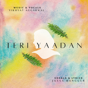 Teri Yaadan