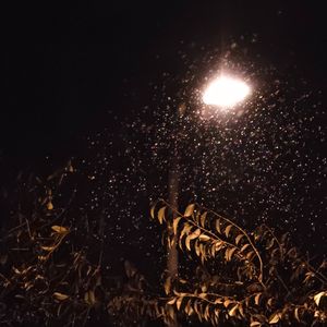 梧桐叶上三更雨