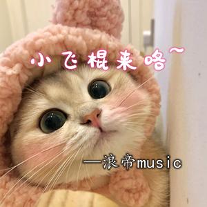 浪帝蹦迪专用 (DJ版)