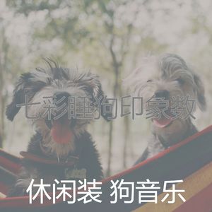 诗意的小狗节奏