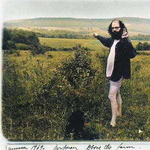 a frog jumps in, kerplunk!