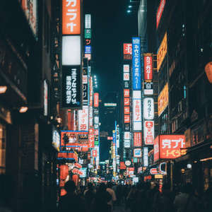 灯火阑珊，我的心借了你的光是明是暗