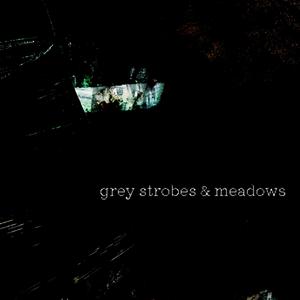 Grey Strobes