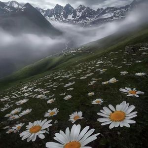 天使（prod.Ounce_X）