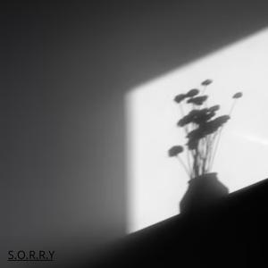 S.O.R.R.Y
