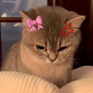 Blancanieves (slowed)