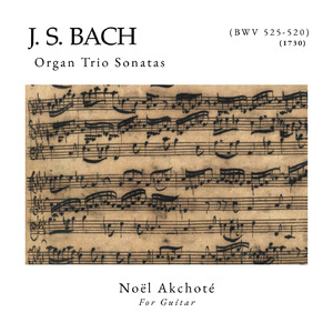 Organ Sonata No. 3 in D Minor, BWV 527:II. Adagio e Dolce