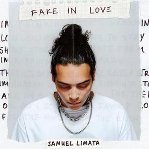 FAKE IN LOVE