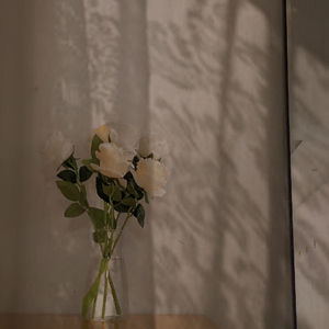 安和桥 翻唱版.wav