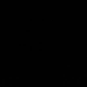 ASS UP (2024 leftover)