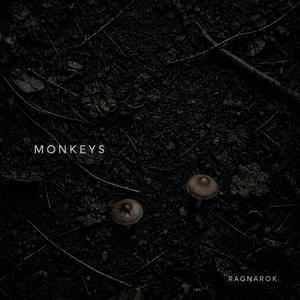 Monkeys
