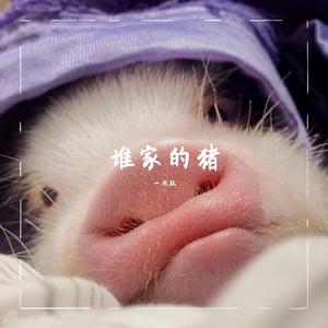 美人画卷（吉他弹唱）