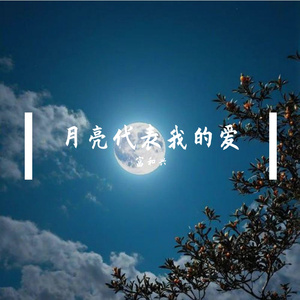 月亮代表我的爱