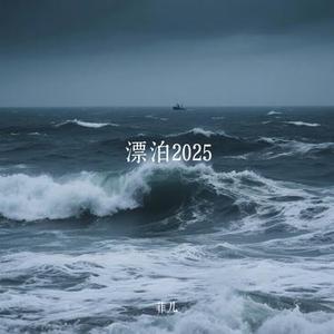 漂泊2025