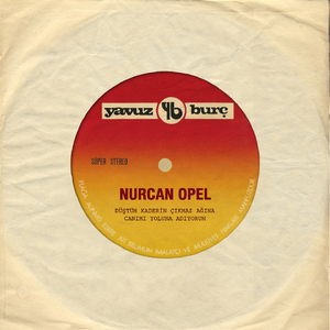 Düştüm Kaderin Çıkmaz Ağına