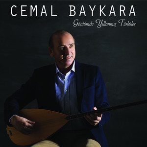 Bir Seher Vaktinde İndim Bağlara