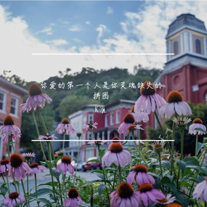 你爱的第一个人是你灵魂缺失的拼图