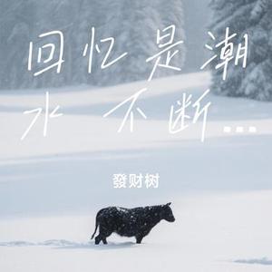 回忆是潮水 不断卷来又退散