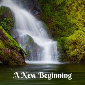 Music Meets the Woodlands