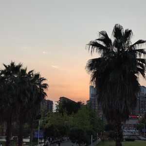 《余生指教》