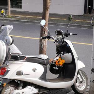 想见（Prod by Red killer）