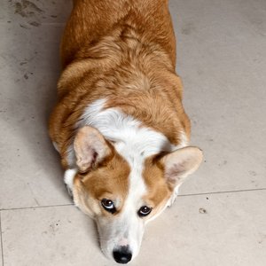 温柔的序章(Gentle Prologue).wav