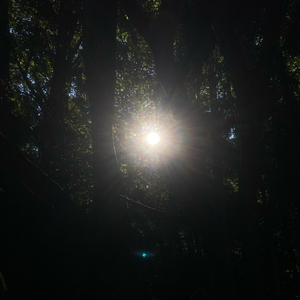 He who challenged the sun (jam)