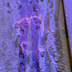 如果可以（释怀版）