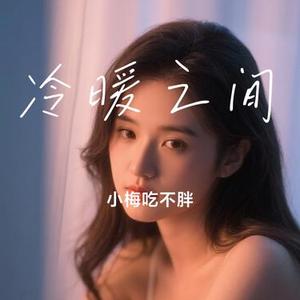 冷暖之间