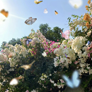 是树叶，是蝴蝶