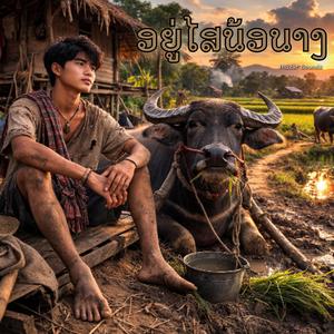 อยู่ไสน้อนาง