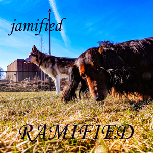 Jamified