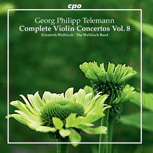 Double Violin Concerto in G Major, TWV 52:G2: III. Largo