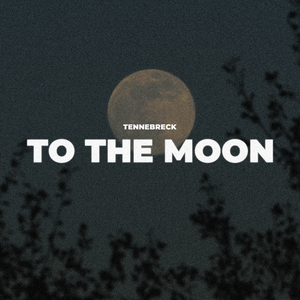 To the moon (Radio)