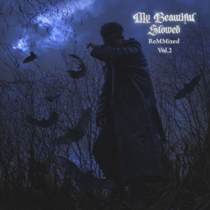 nightmare dreams (slowed & reverb)