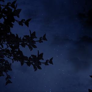 雨过后的风景（R&B）