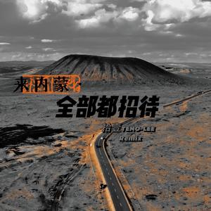 落中赫-来内蒙·拾壹全部招待（拾壹TENO-LEE Remix）（拾壹TENO-LEE remix）