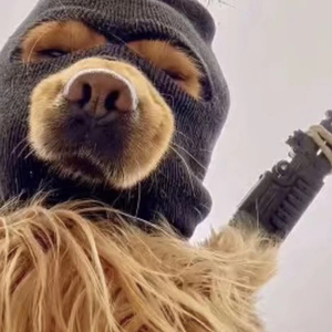 dongtai cool wubingbing