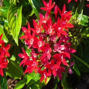 おやすみなさい