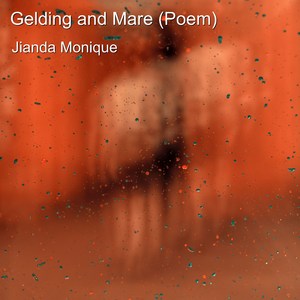 Gelding and Mare (Poem)