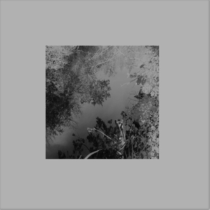 Dark Winter: III. Grey