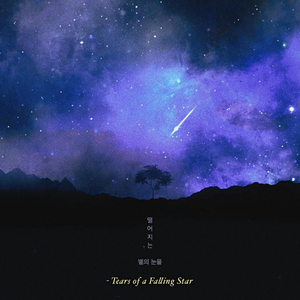 떨어지는 별의 눈물 (Feat. 강민지 &amp& 김시형)