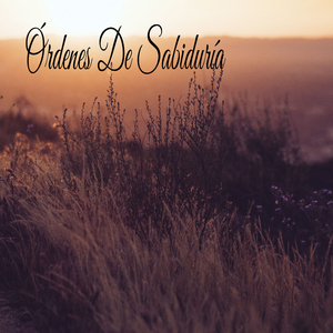 Perfección Después Del Anochecer