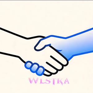 塞勒斯的爱（Wlstka remix）