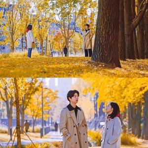 你是我年少求剑时刻的舟