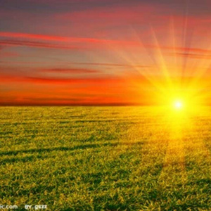 永远写不完的歌