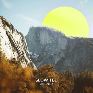 Aligned (Extended Mix)